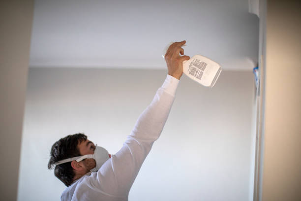 Best Toxic Mold Removal  in Stanberry, MO
