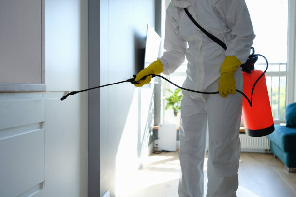 Certified Mold Removal in Stanberry, MO